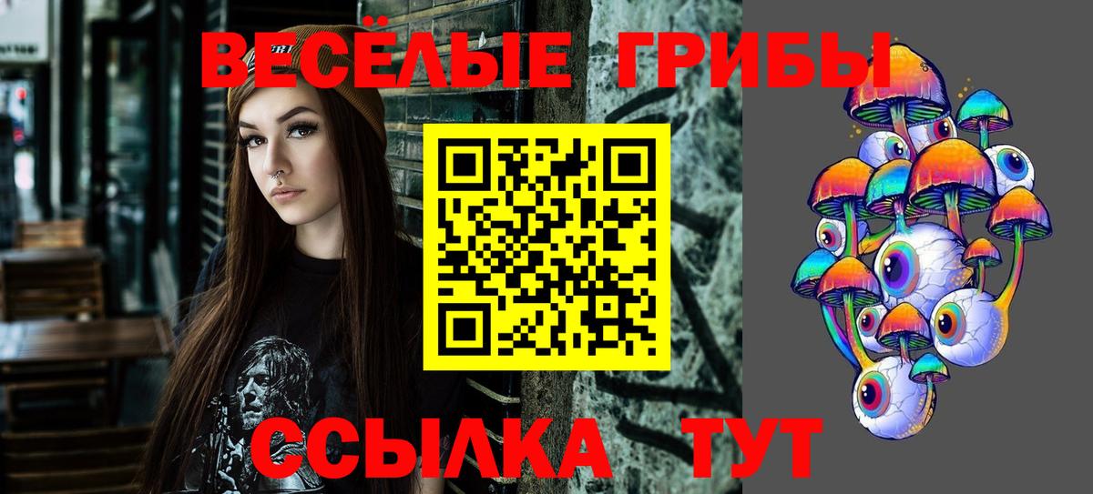 Галлюциногенные грибы Psilocybine cubensis Острогожск